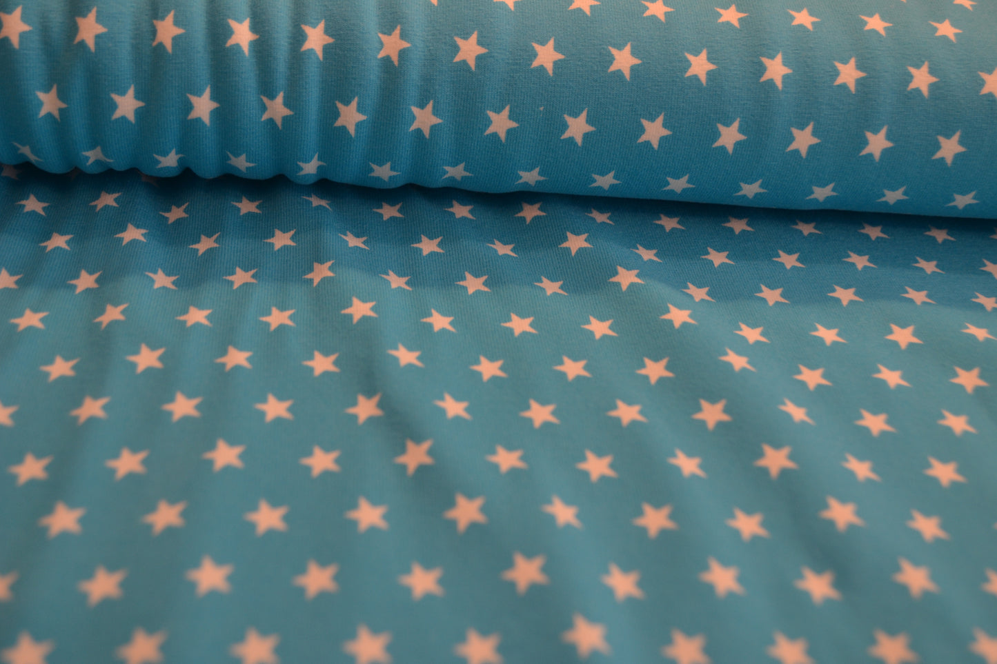 Baumwoll Jersey "Sterne" hellblau *Breite 152cm*