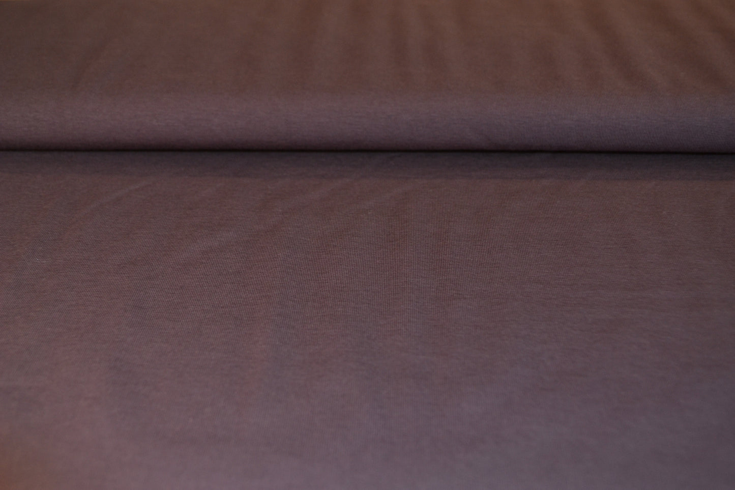 Baumwoll Jersey uni aubergine *Breite 155cm*