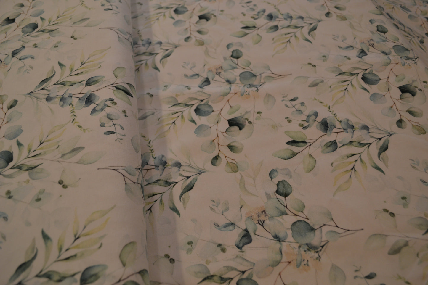 Baumwoll Jersey Eukalyptus grün weiß *Breite 160cm*