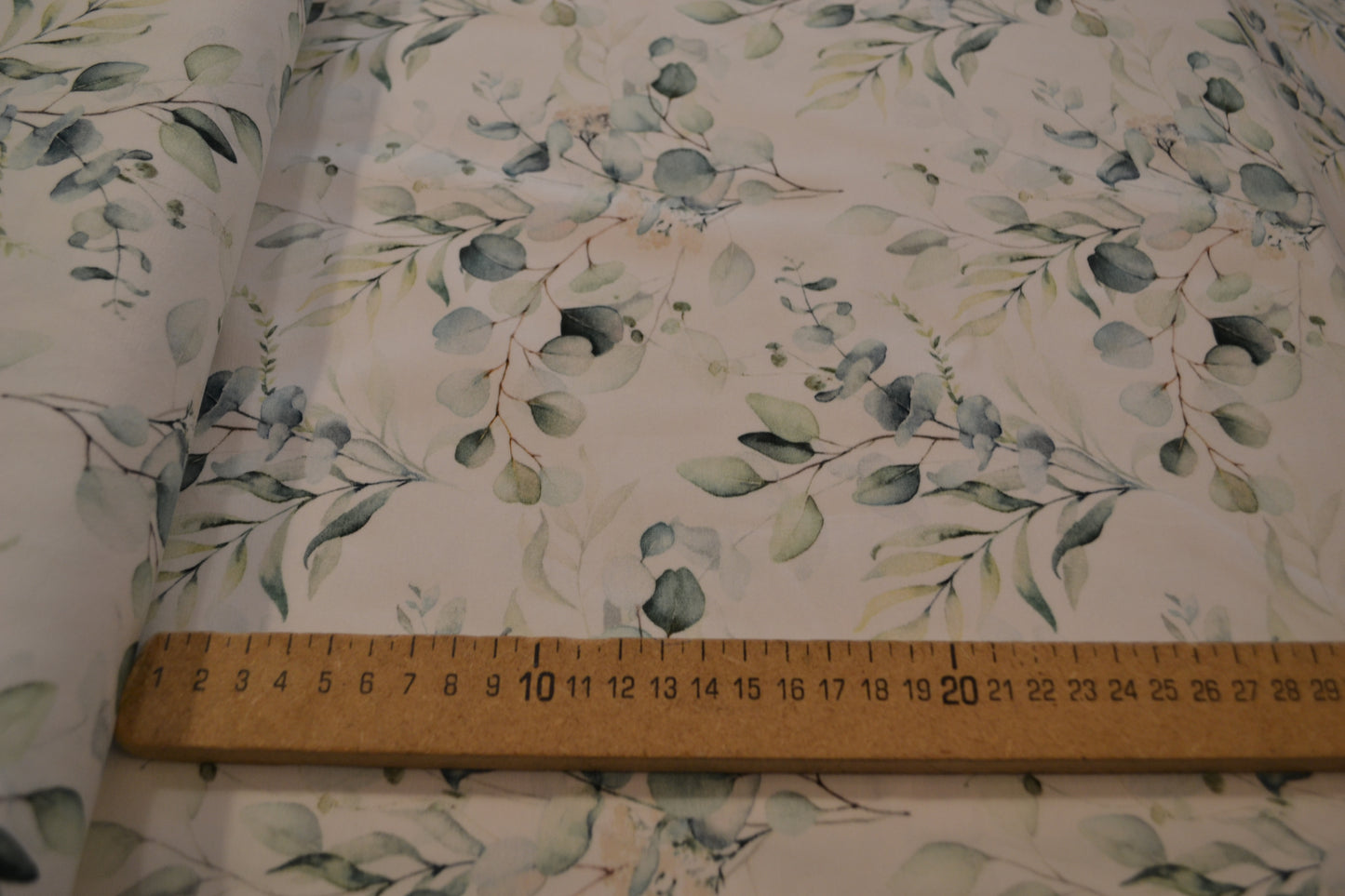 Baumwoll Jersey Eukalyptus grün weiß *Breite 160cm*