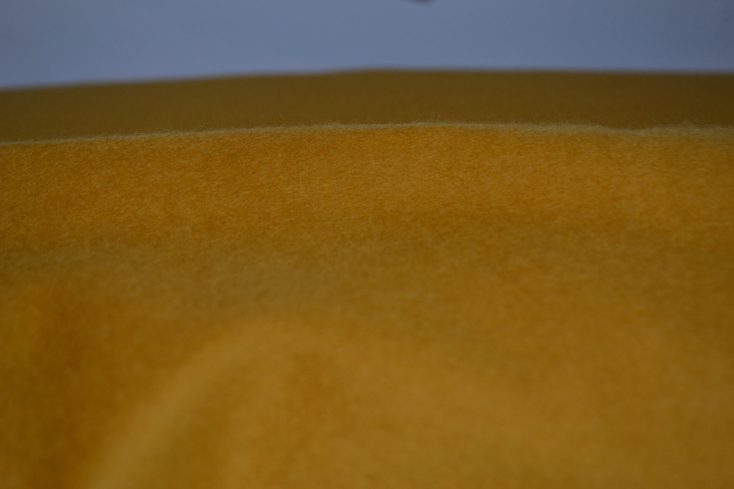 French Terry Sweat uni curry *Breite 155cm*