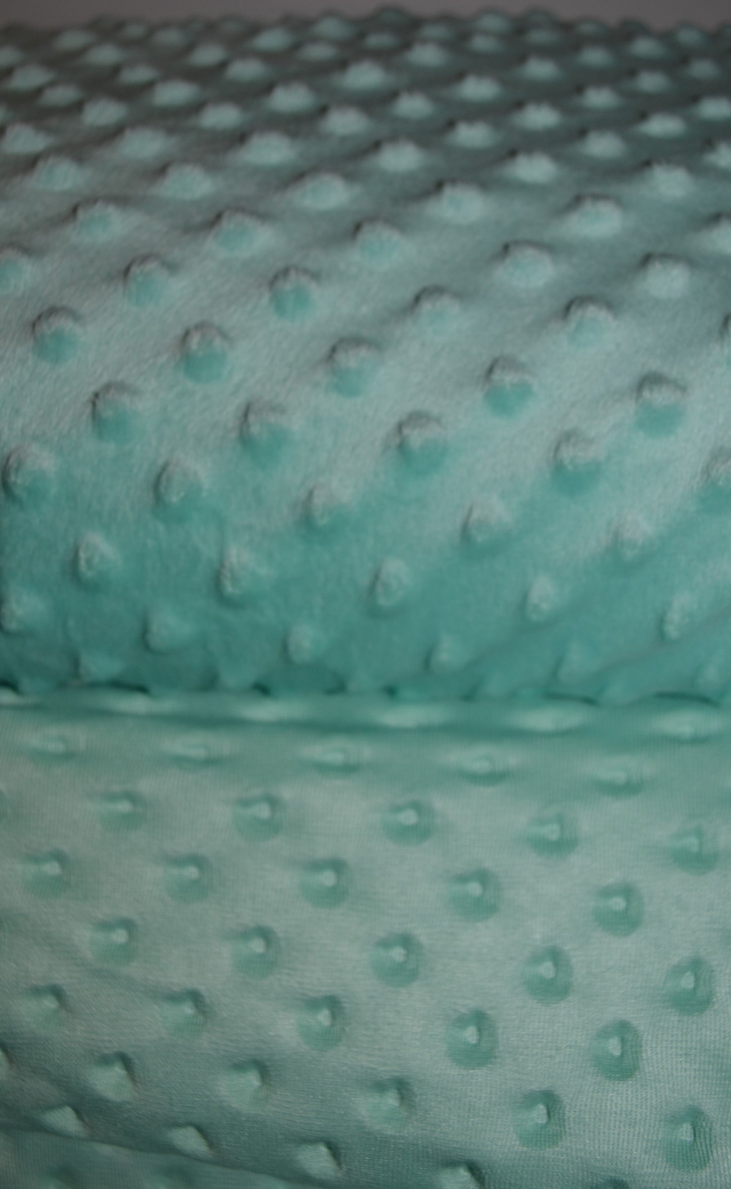 Bubble Fleece Minky Dots uni mint *Breite 186cm*