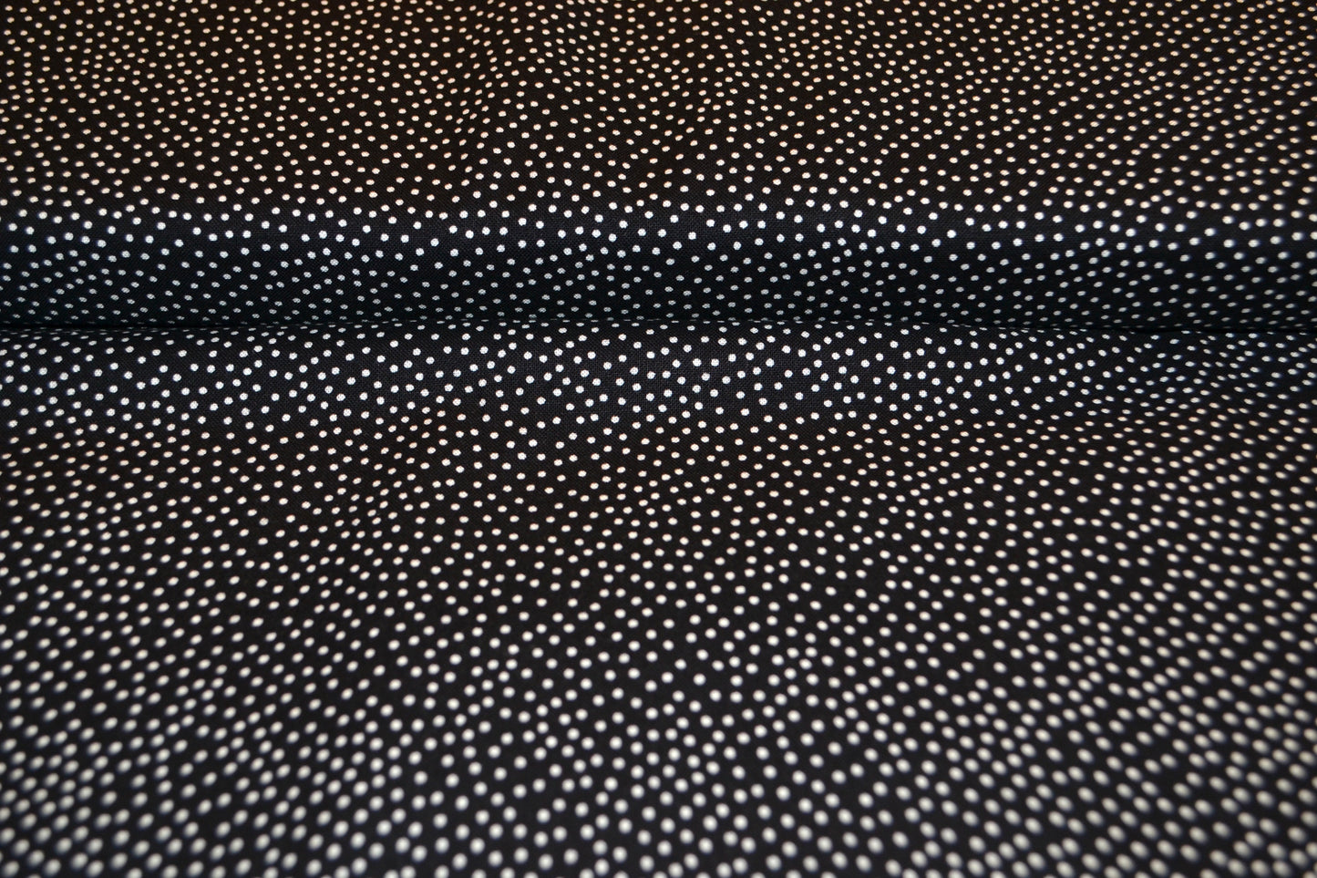 Patchwork Baumwolle "Minidots kleine Punkte" weiß schwarz *Breite 110 cm*